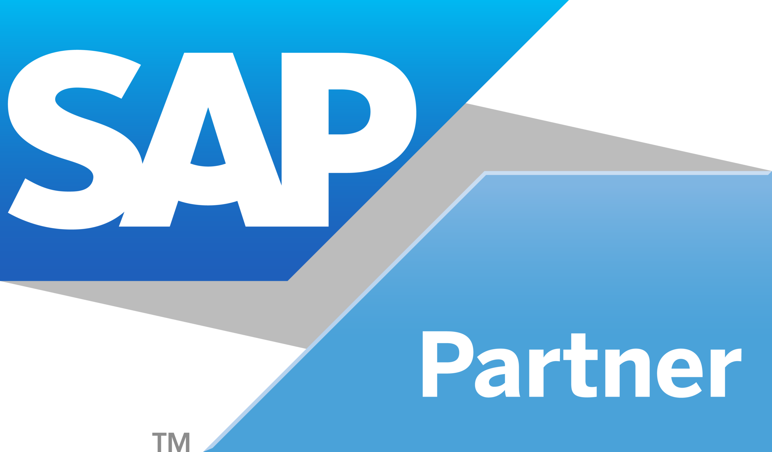 SAP Partner